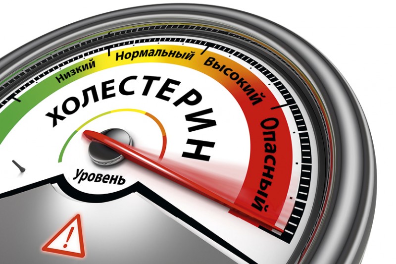 Холестерин. Норма в крови. Снижение. Лечение.